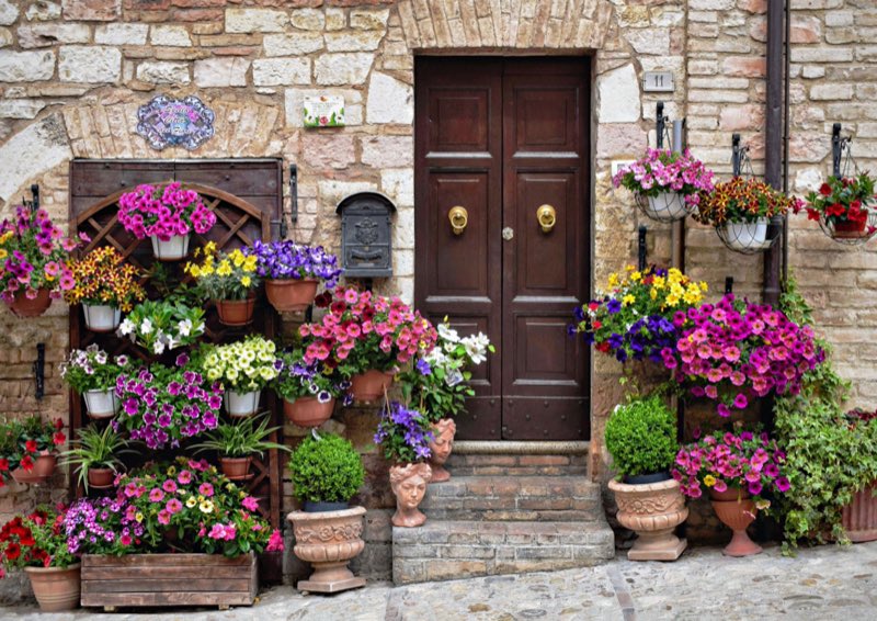 A door among the flowers