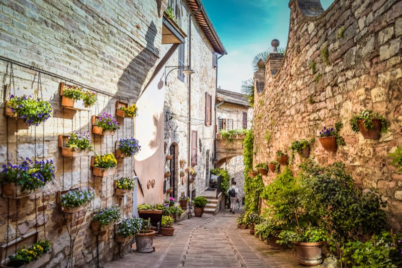 Flower pots along a lane